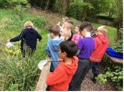 Pond Dipping