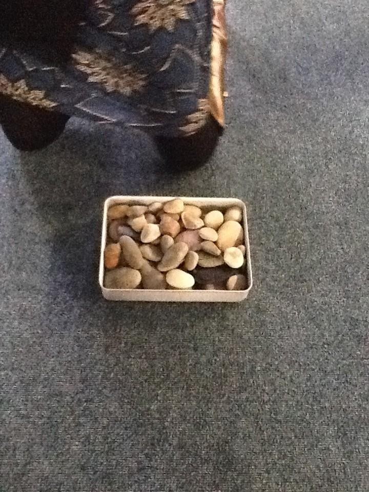 The stones have been in the freezer overnight and are very cold.
