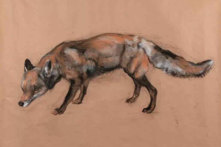 Fox by Nicola Hicks