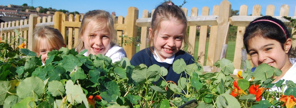 School children in the school garden