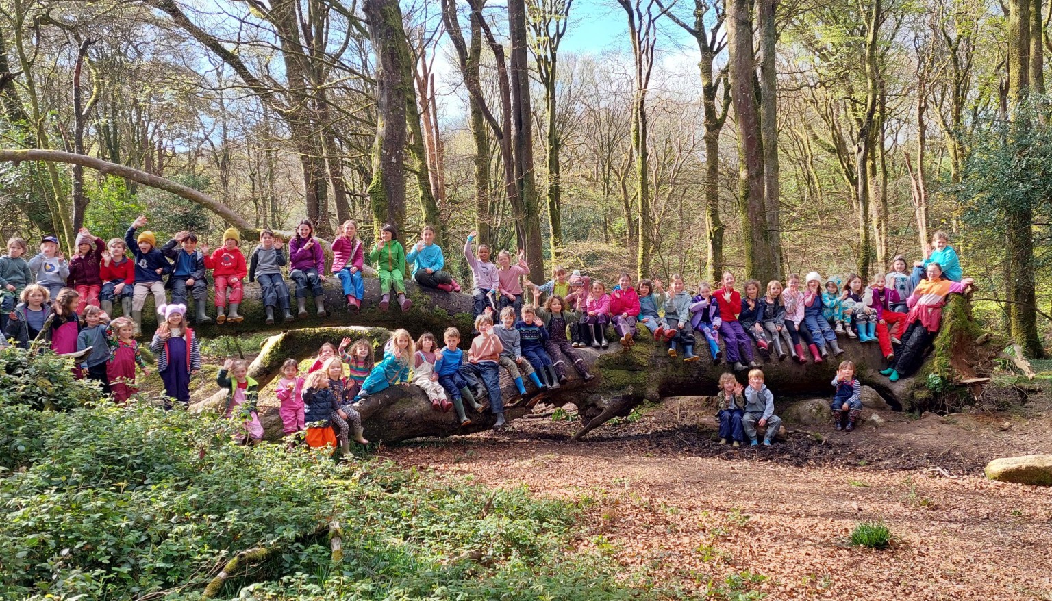 Whole School