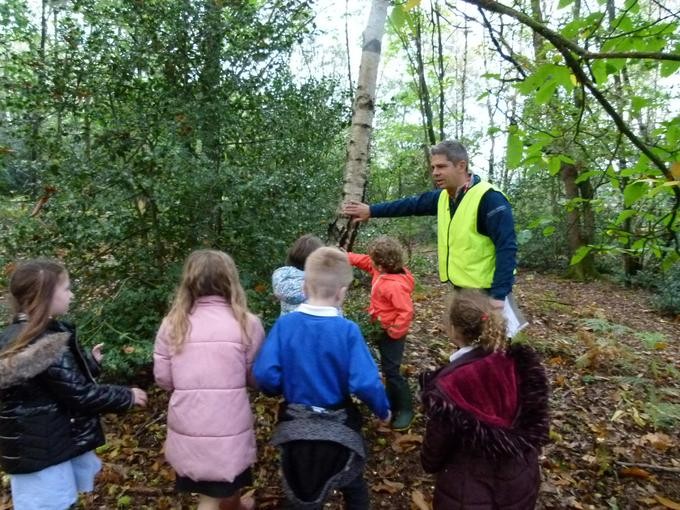 Pupils learning about Geography in the woods