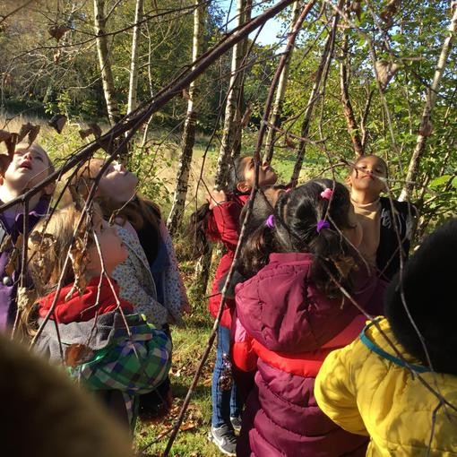Outdoor learning