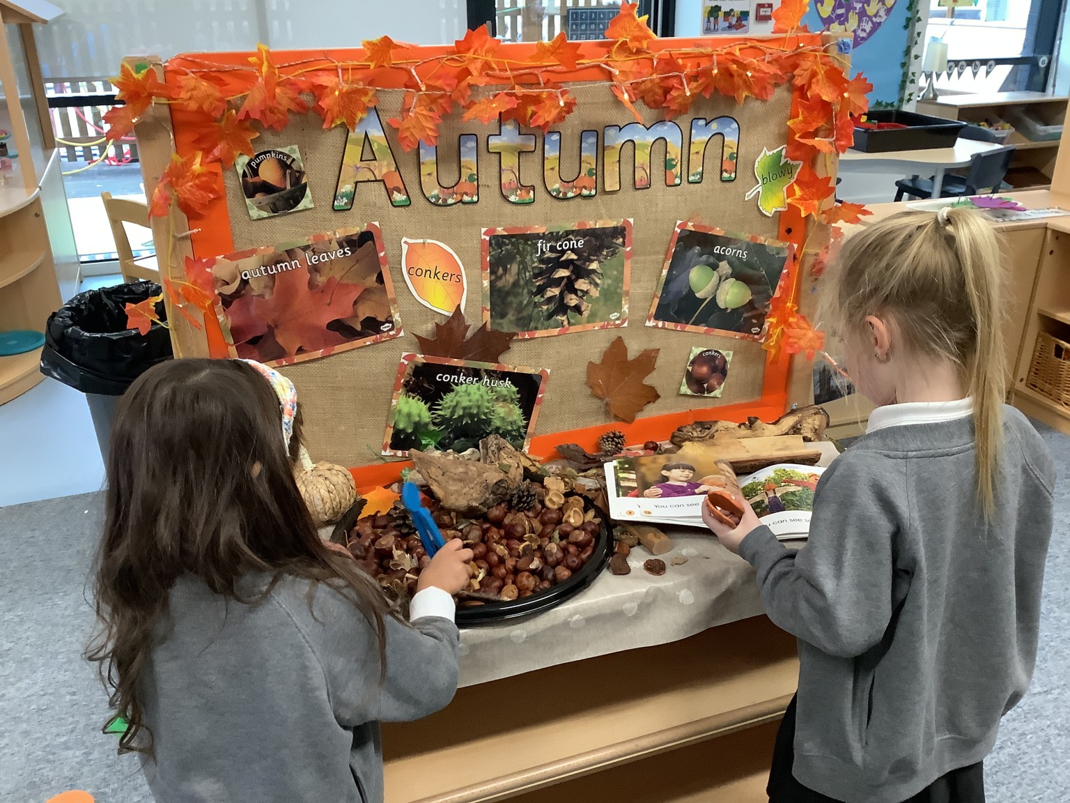 Exploring Autumn