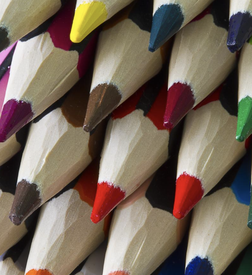 Enrolment Application Form