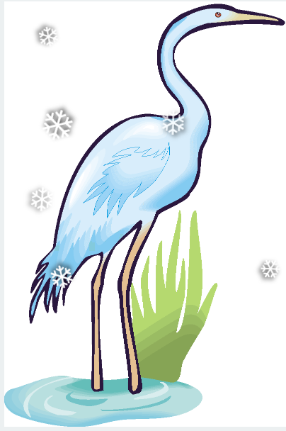 Herons