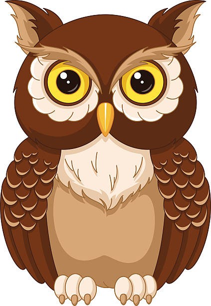 Owls