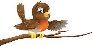 Robins
