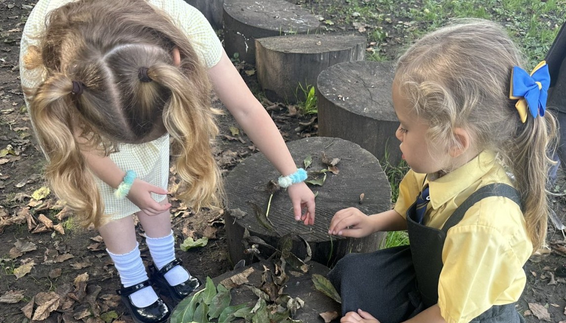 children engaged in forest school activity