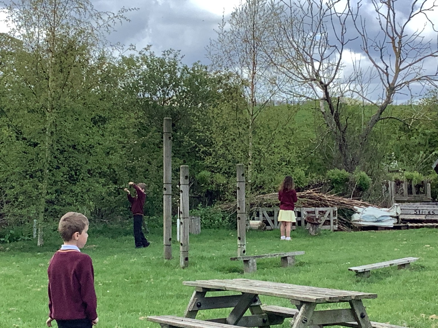 Bird Feeders
