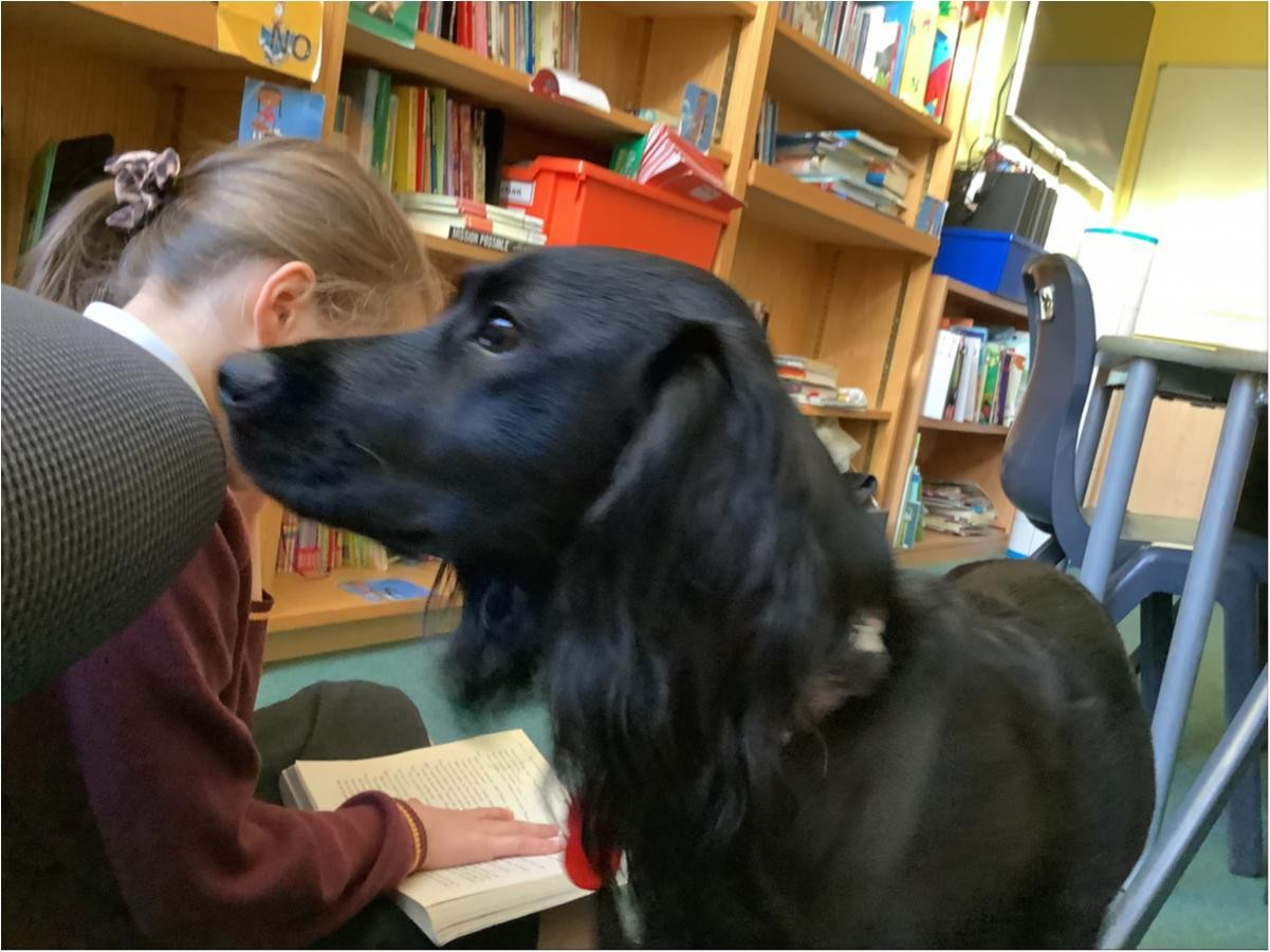 We celebrate reading and love it when Jess, our reading dog joins us.