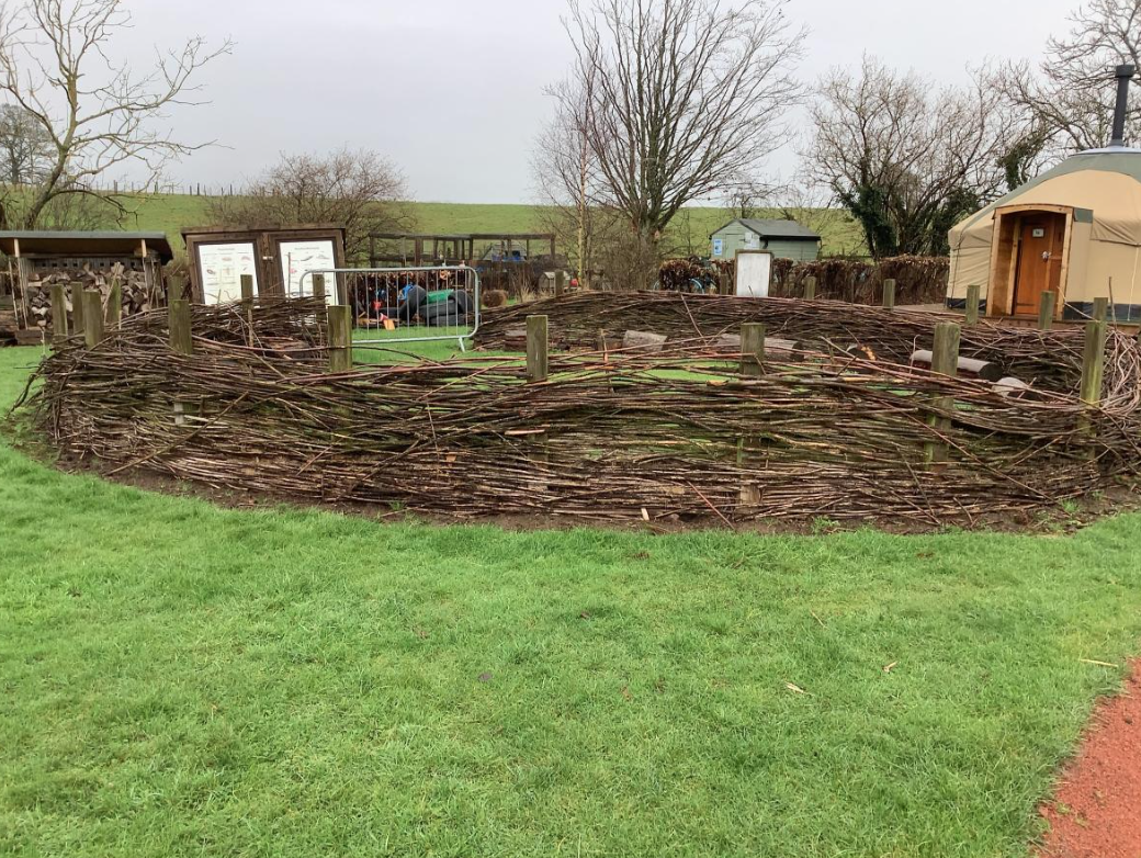 Class 1 Science - Living things and their habitats