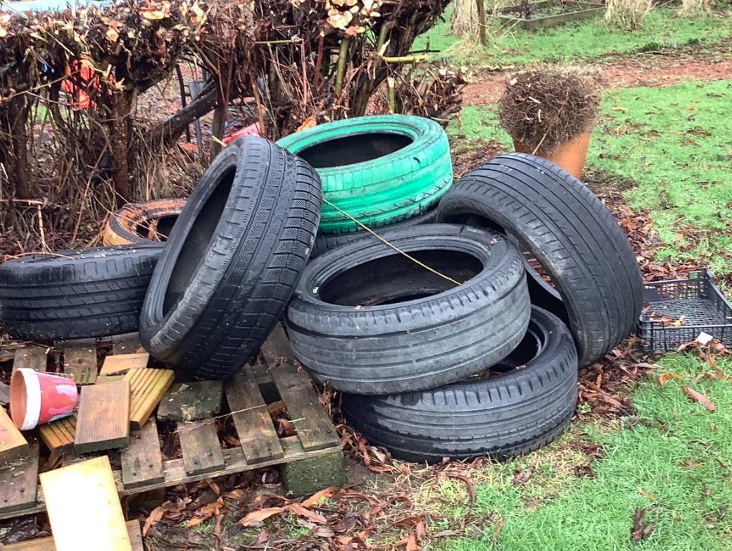 Class 1 Science - Living things and their habitats