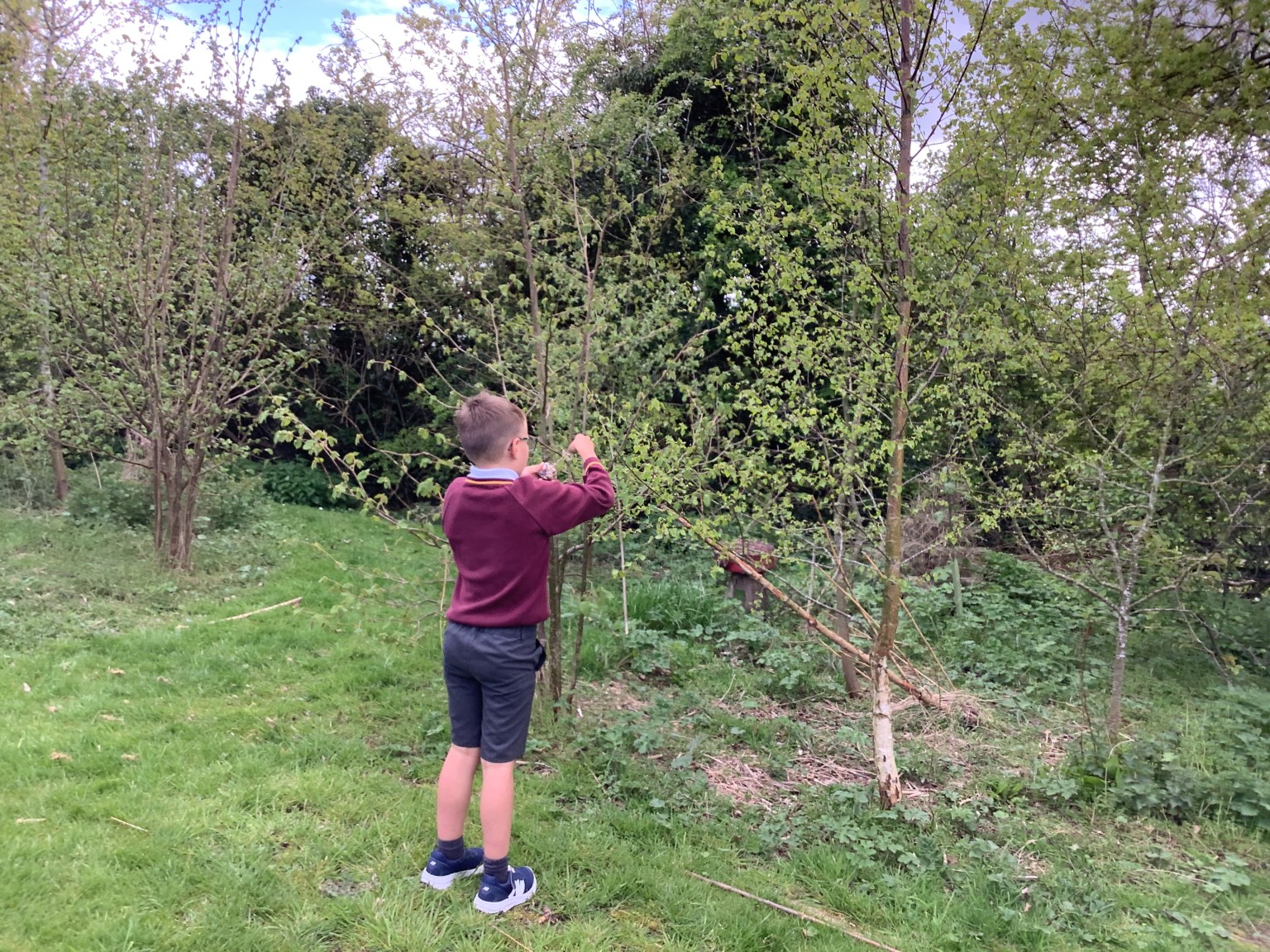 Bird Feeders