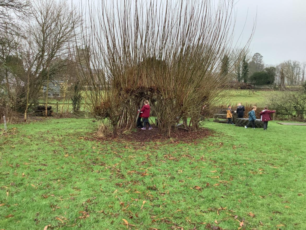 Class 1 Science - Living things and their habitats