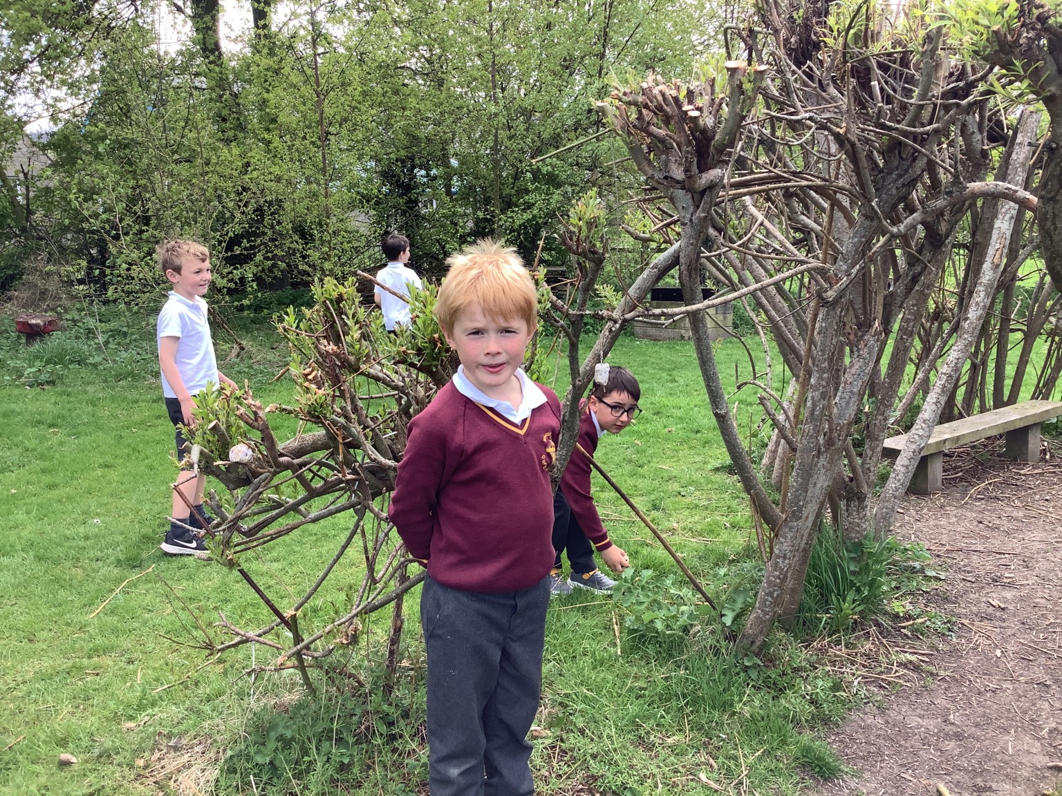Bird Feeders