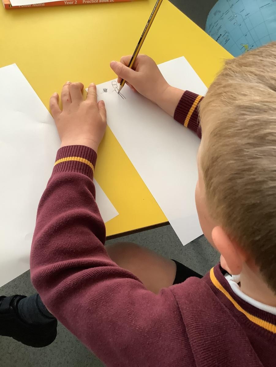 Writing a Story Map  following the text, The Sand Horse in Year 1 and 2.