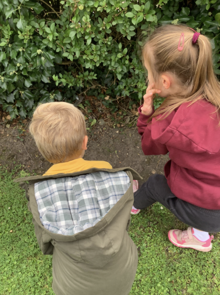 Nature Walk