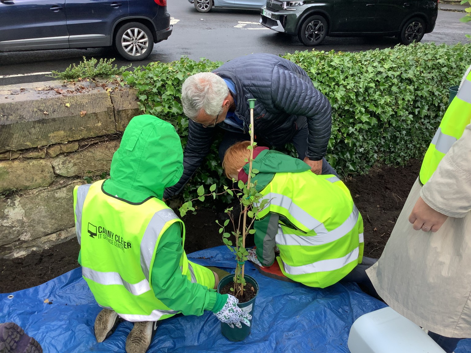 Planting 