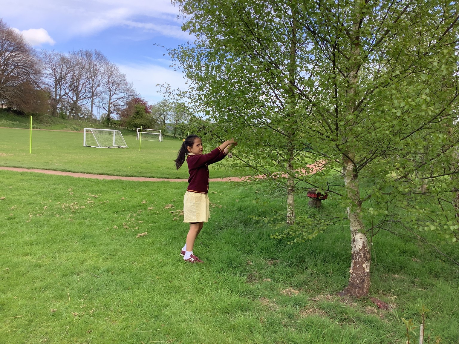 Bird Feeders