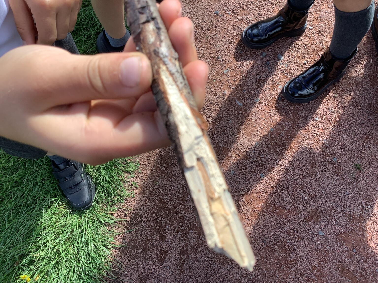 Stick