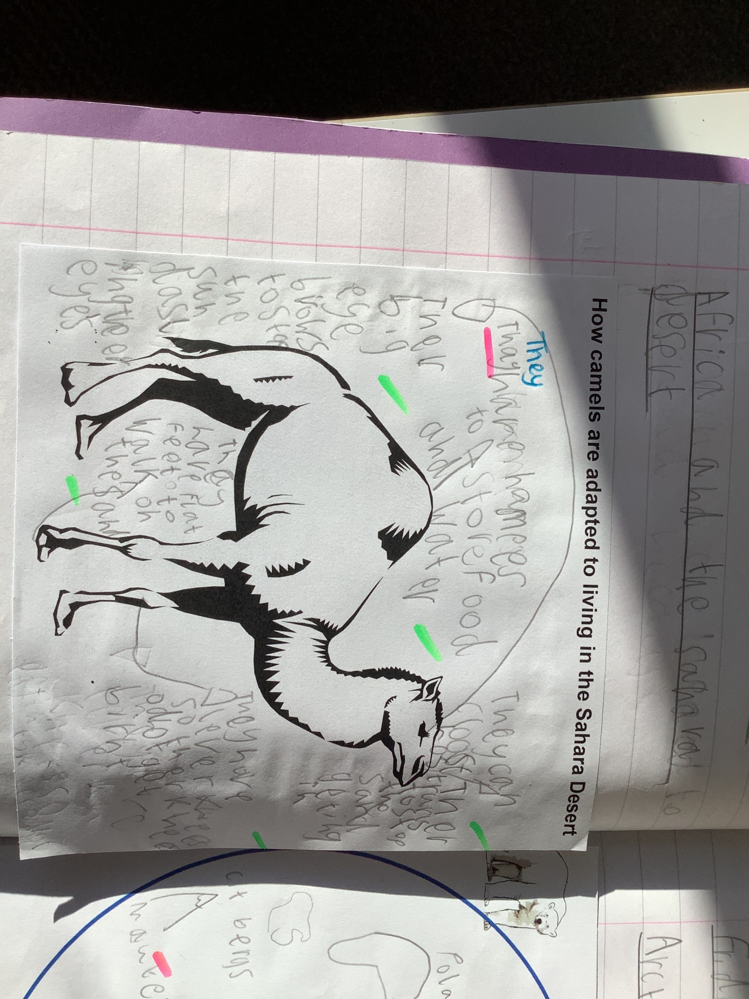 Geography