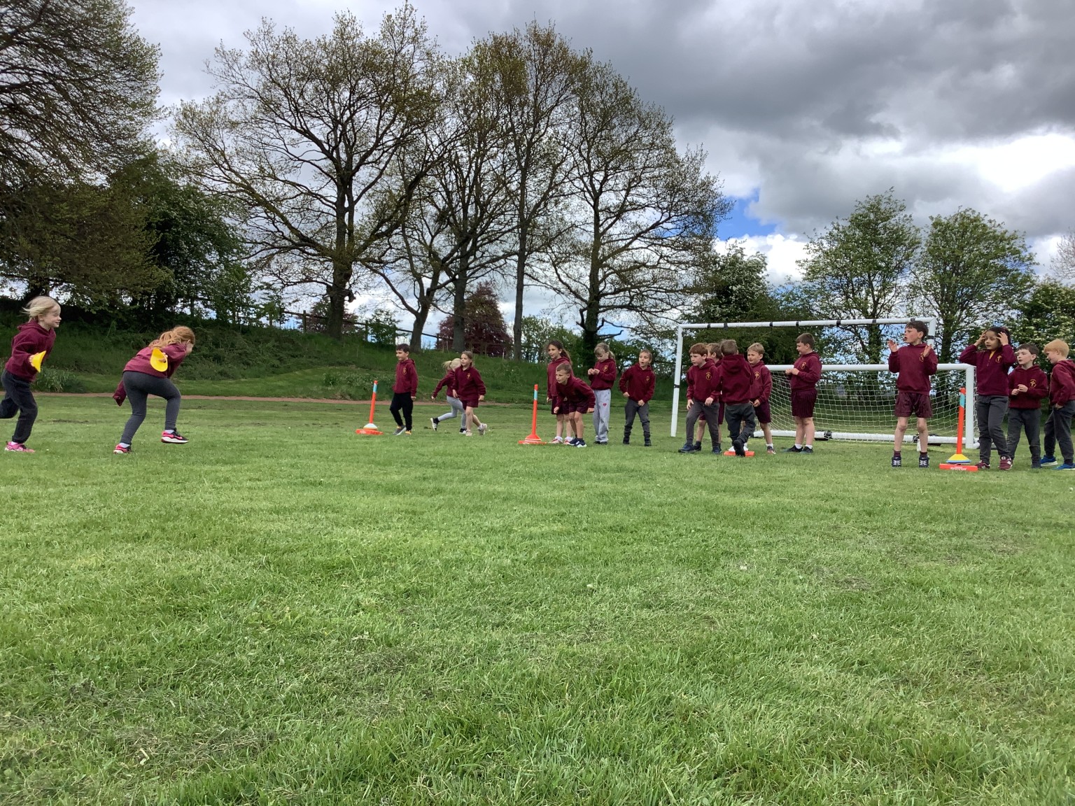 Cricket