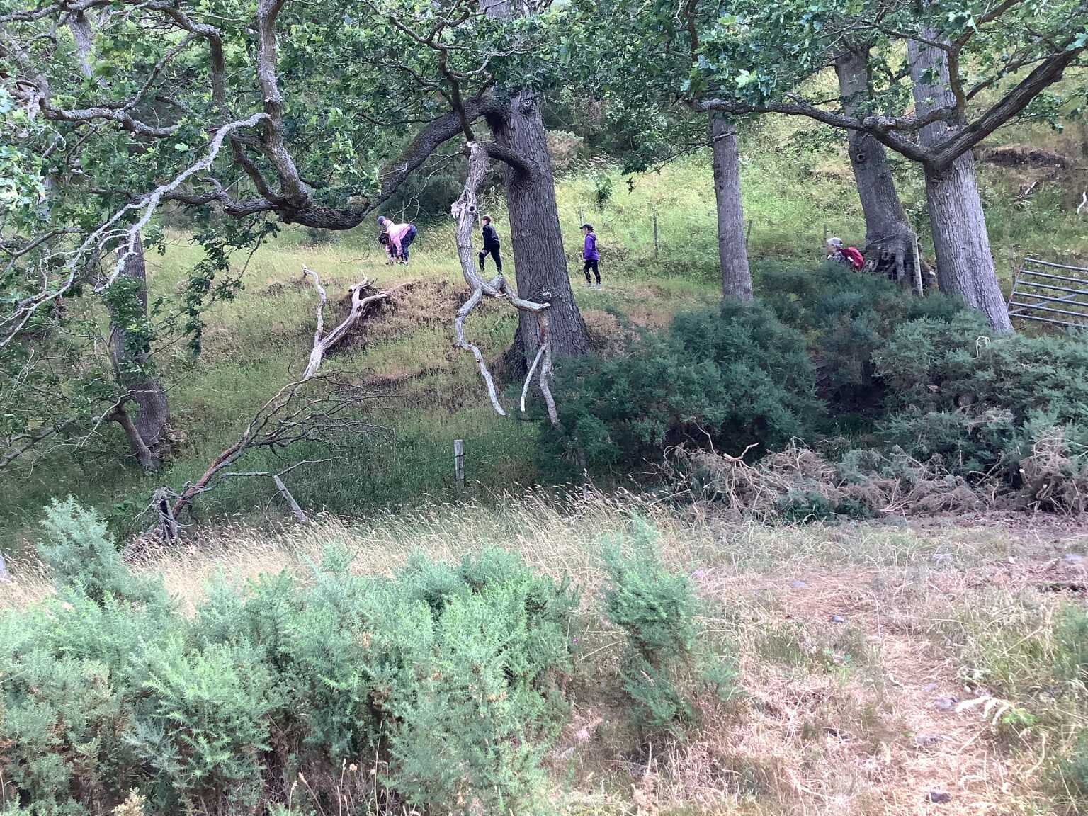 Kirknewton 