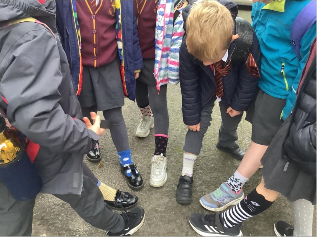 Anti Bullying Week - Odd Socks Day