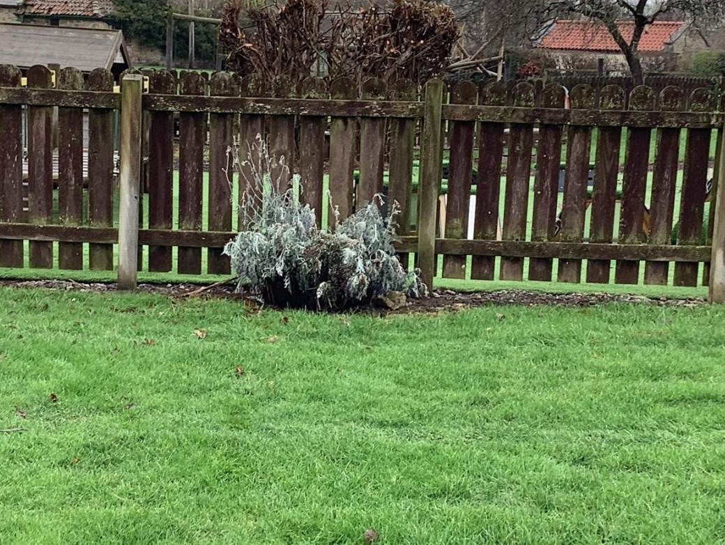 Class 1 Science - Living things and their habitats