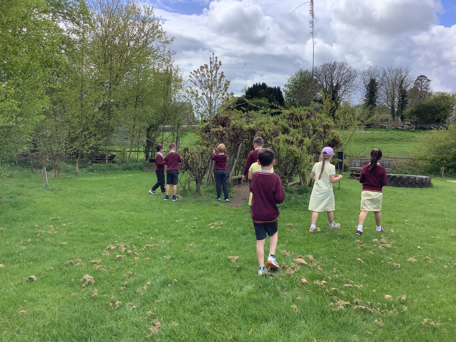 Bird Feeders