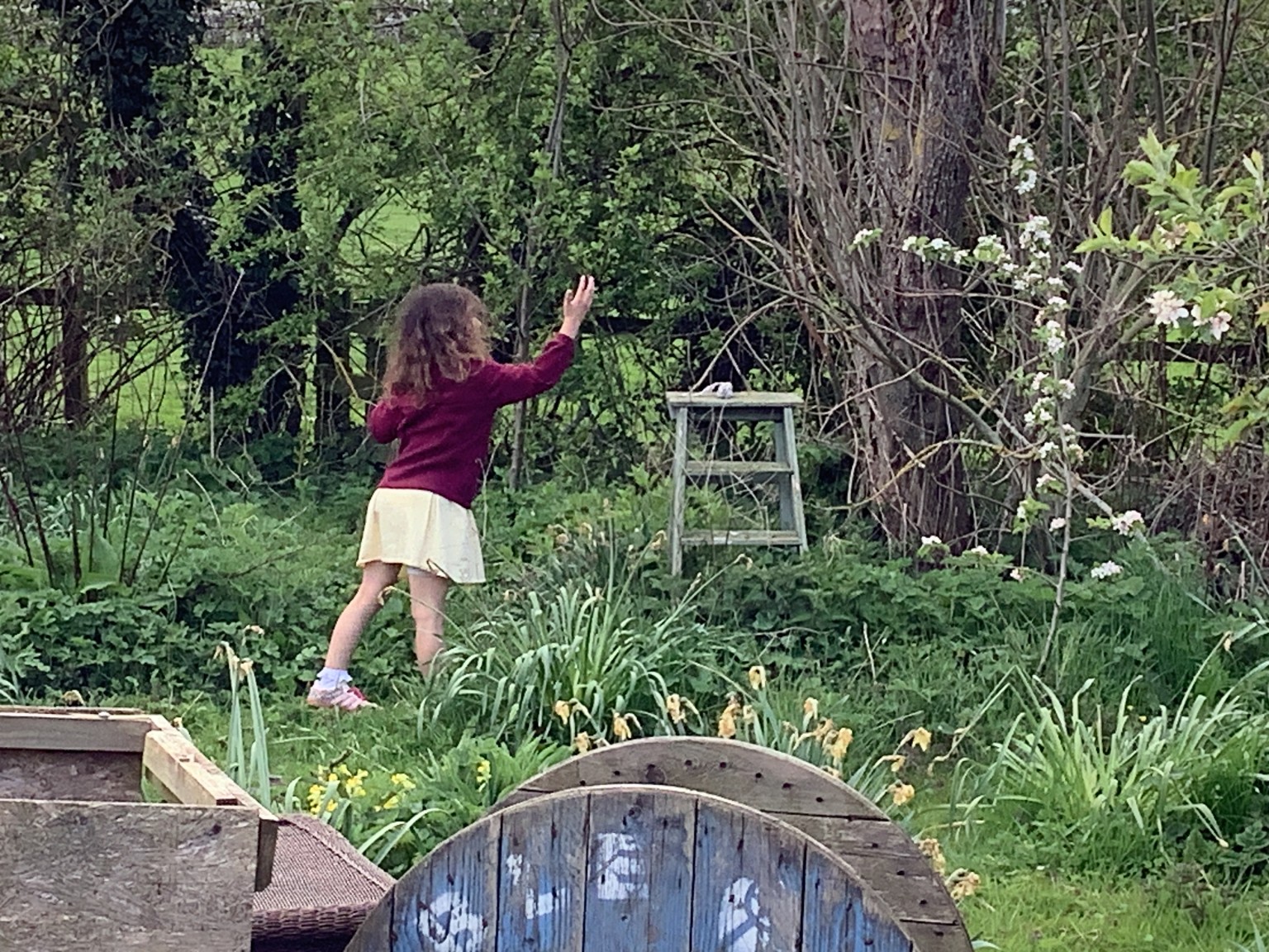 Bird Feeders