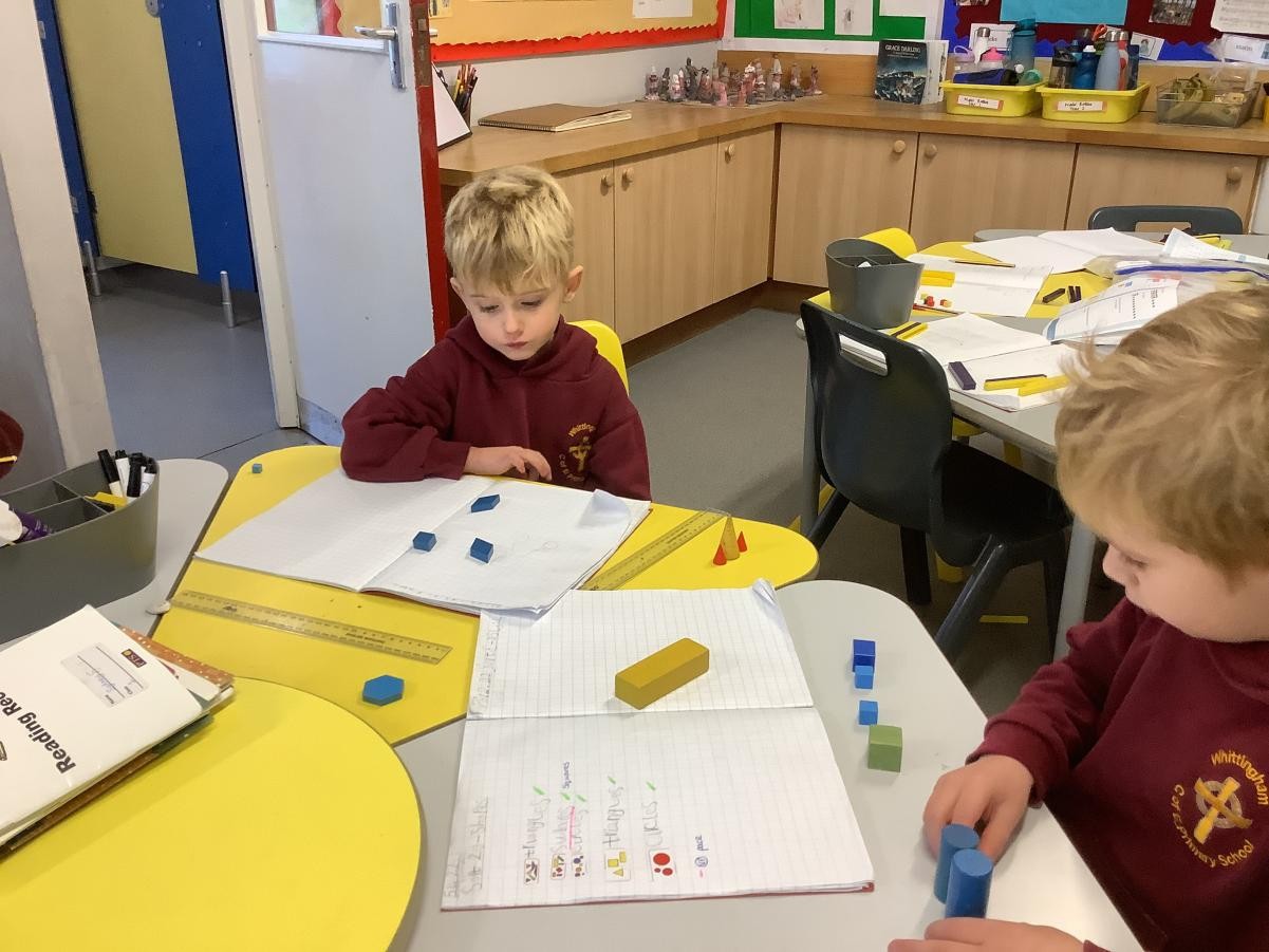 Y1 Shape Work