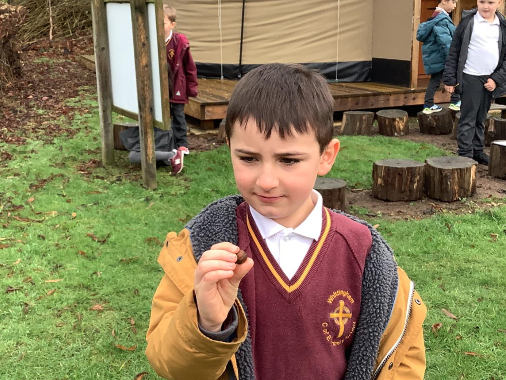 Class 1 Science - Living things and their habitats