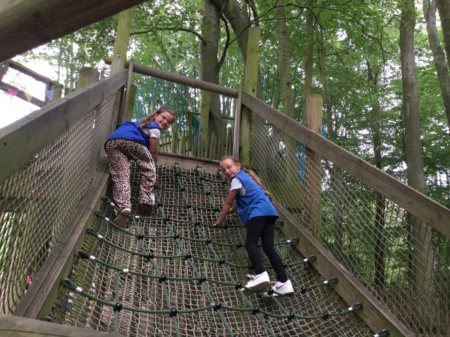 Bewilderwood