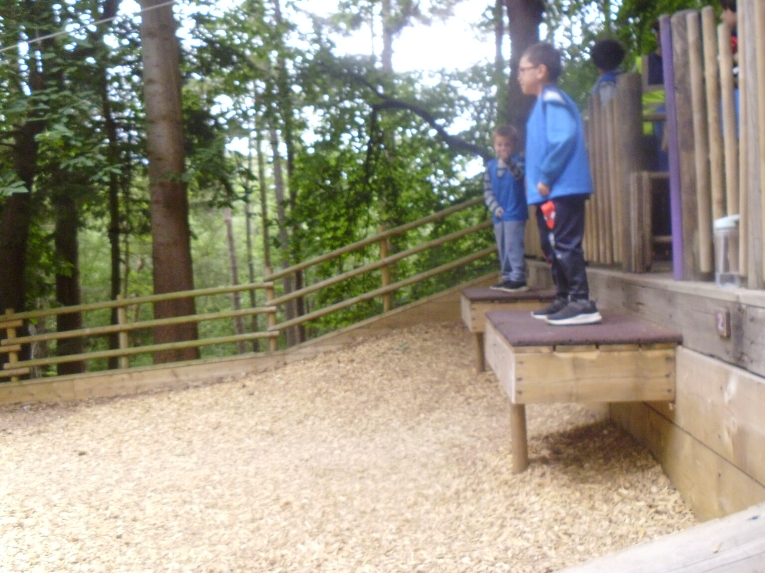 Bewilderwood