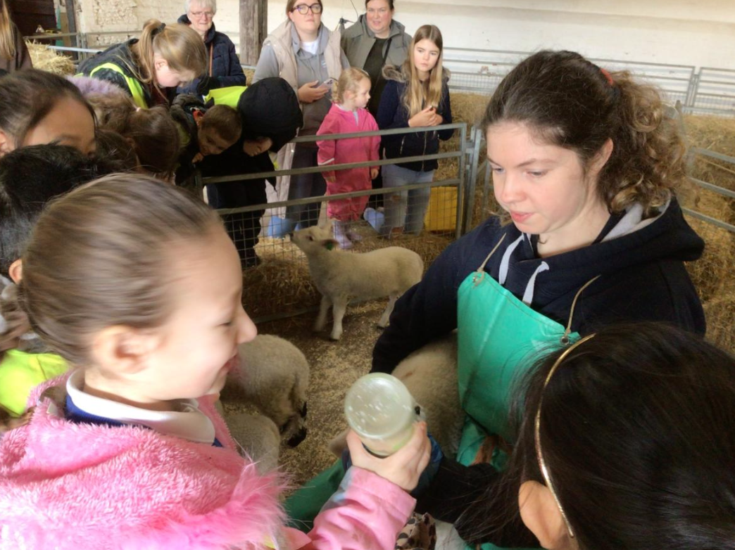 Class 6 Y2 Church Farm Trip