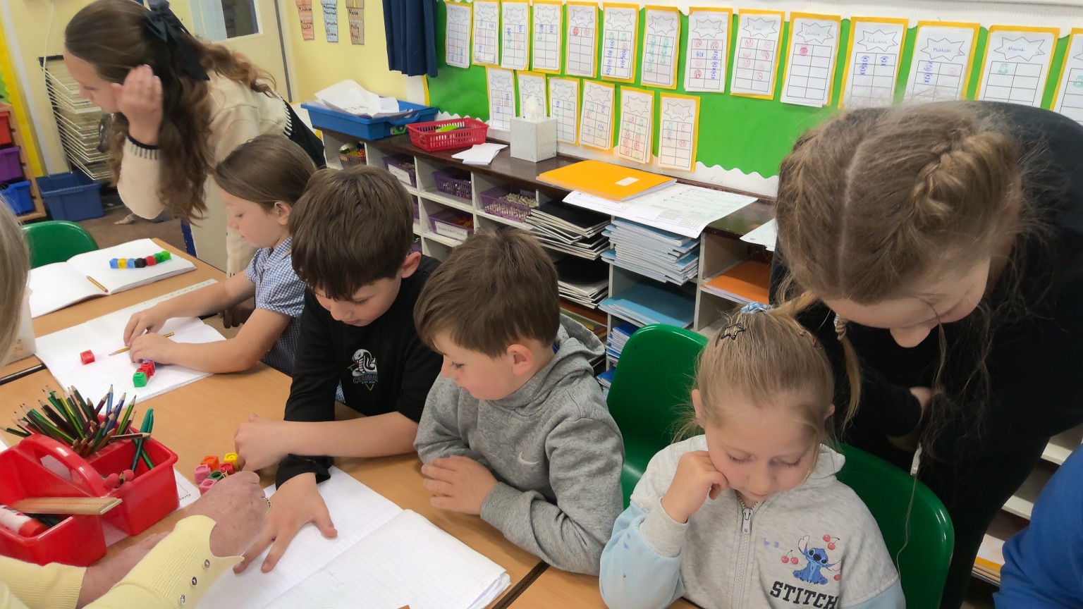 Year 1 Science Investigation 