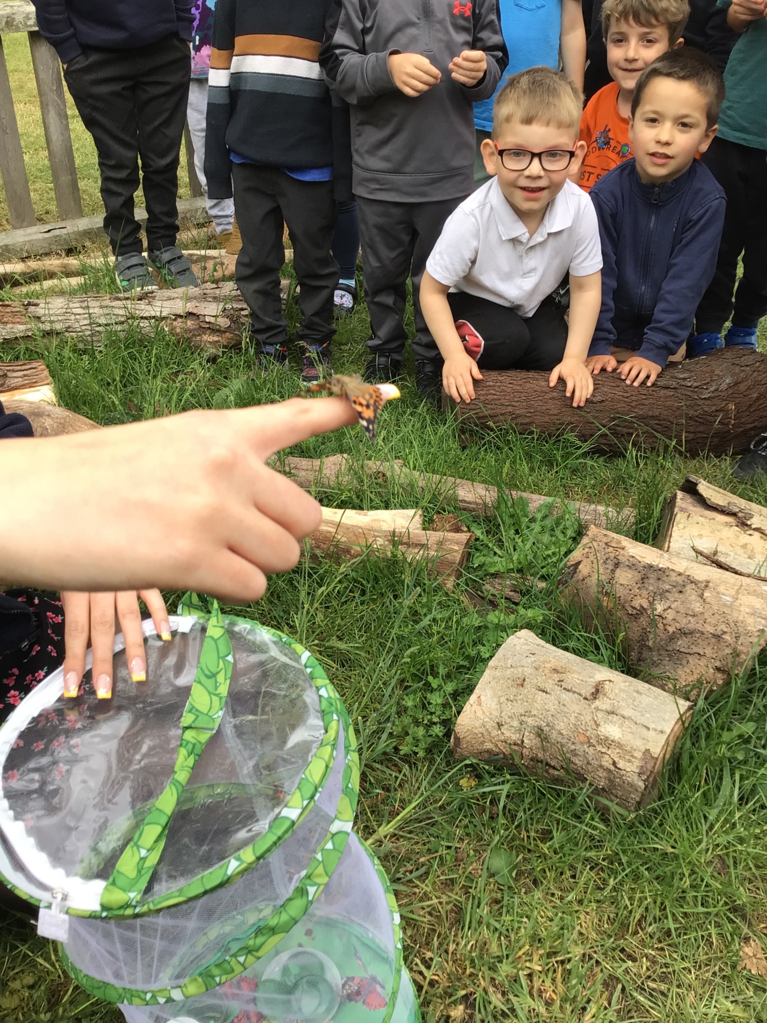 EYFS - Butterfly Release Day! 