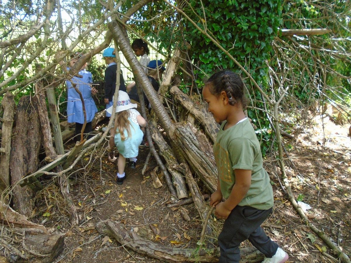 Den building