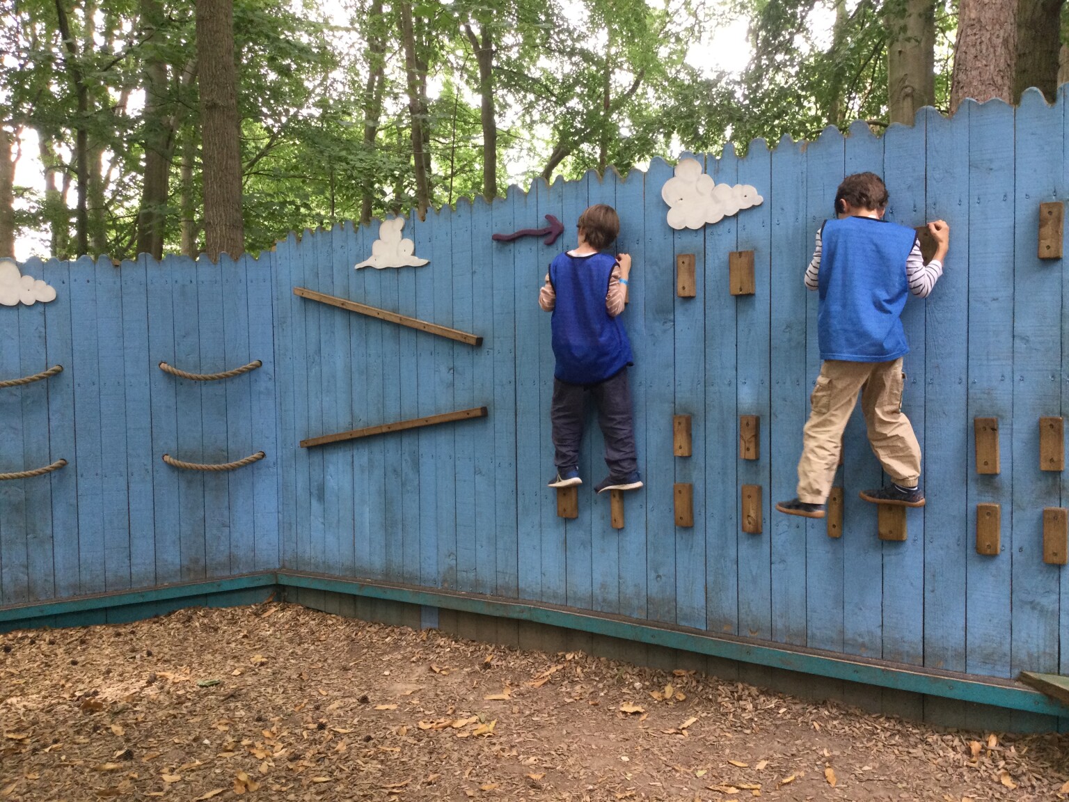 Bewilderwood