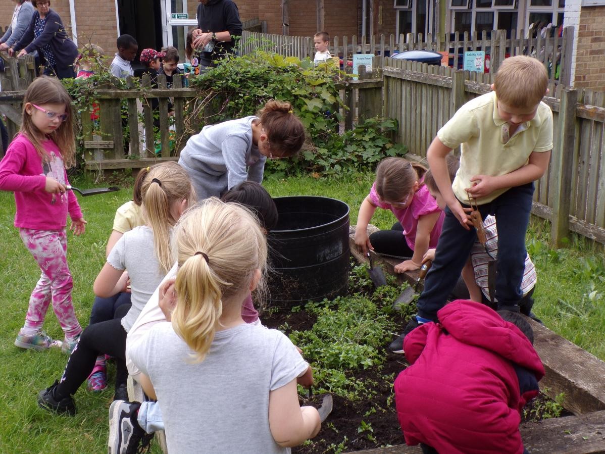 Mr Sapsford running Gardening Club during lunch playtime. 