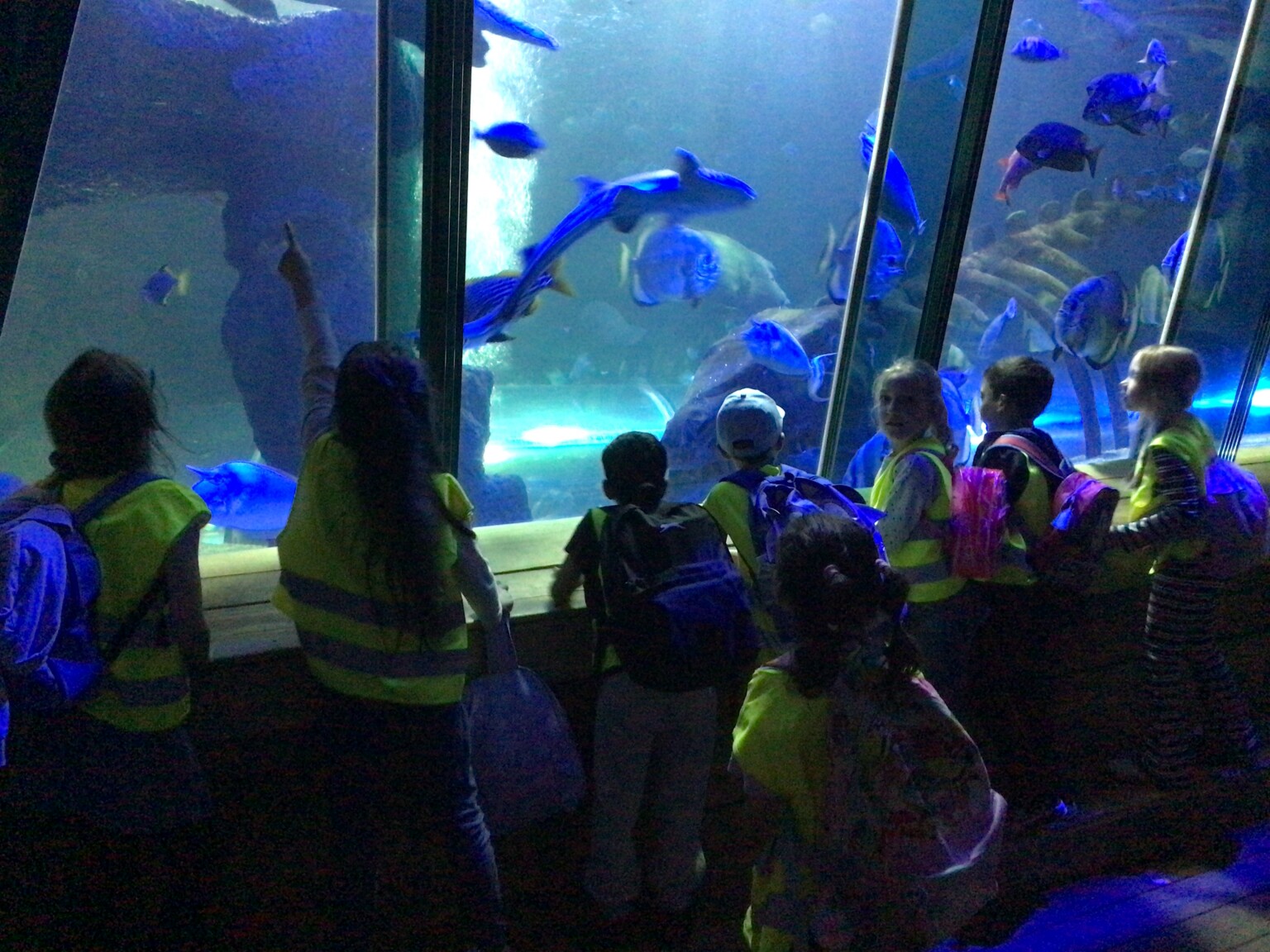 Y2 Hunstanton Visit 