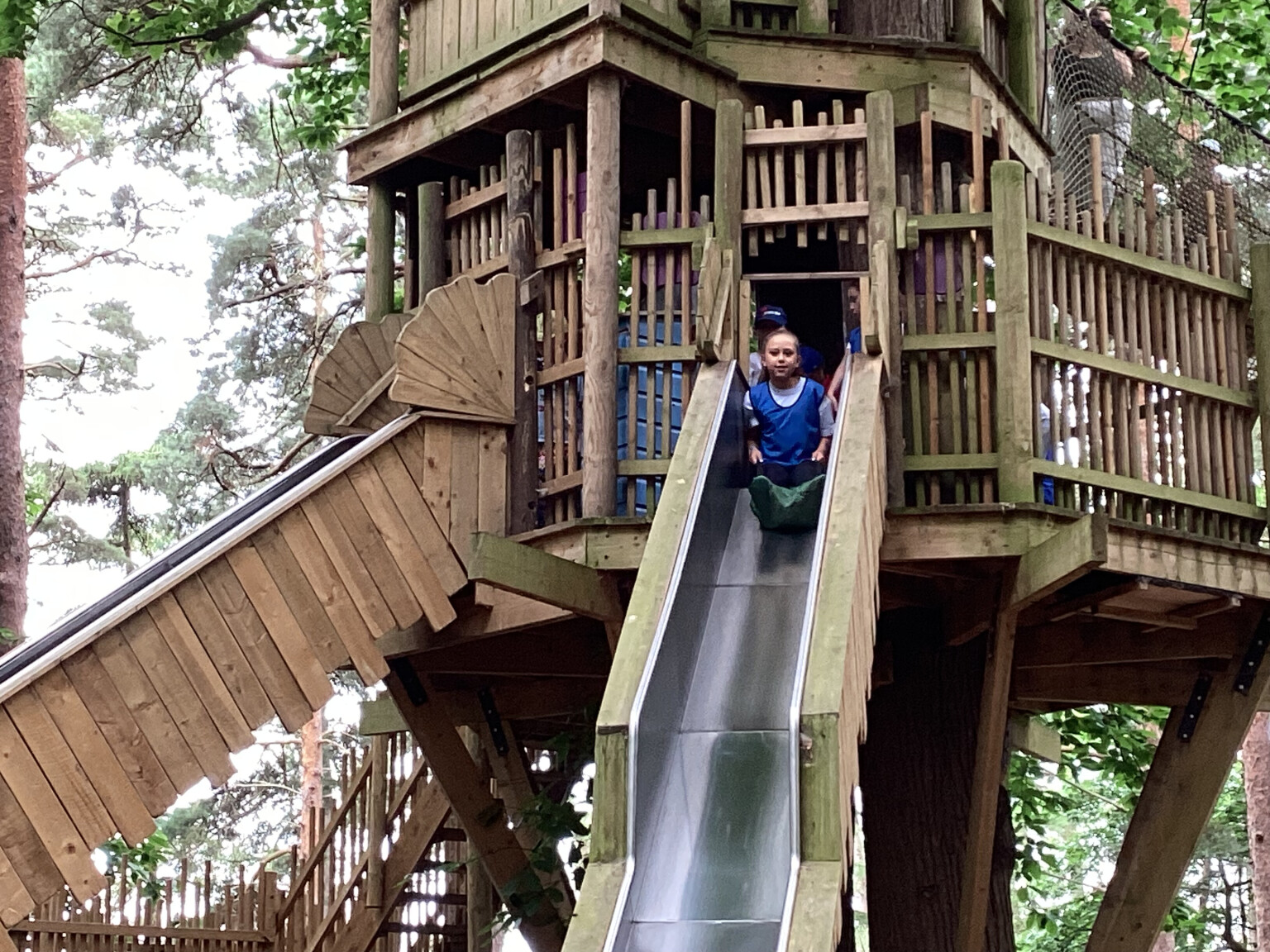 Bewilderwood