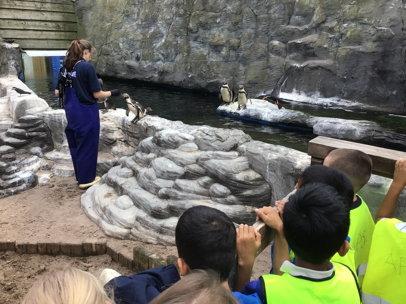Y2 Hunstanton Visit 