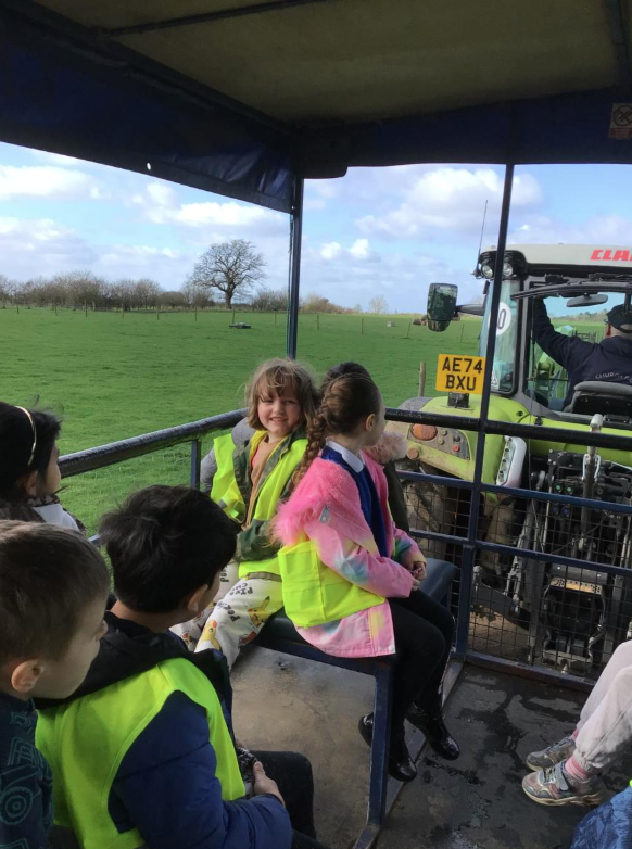 Class 6 Y2 Church Farm Trip