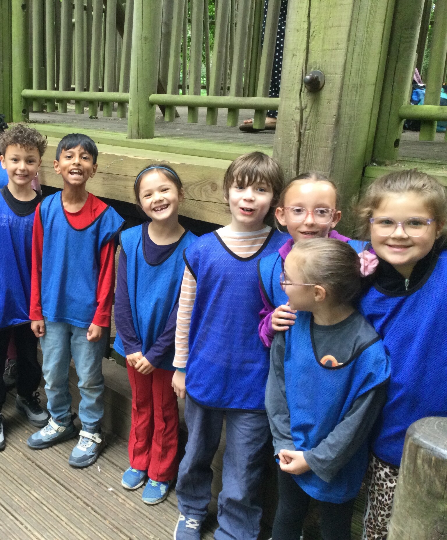 Bewilderwood