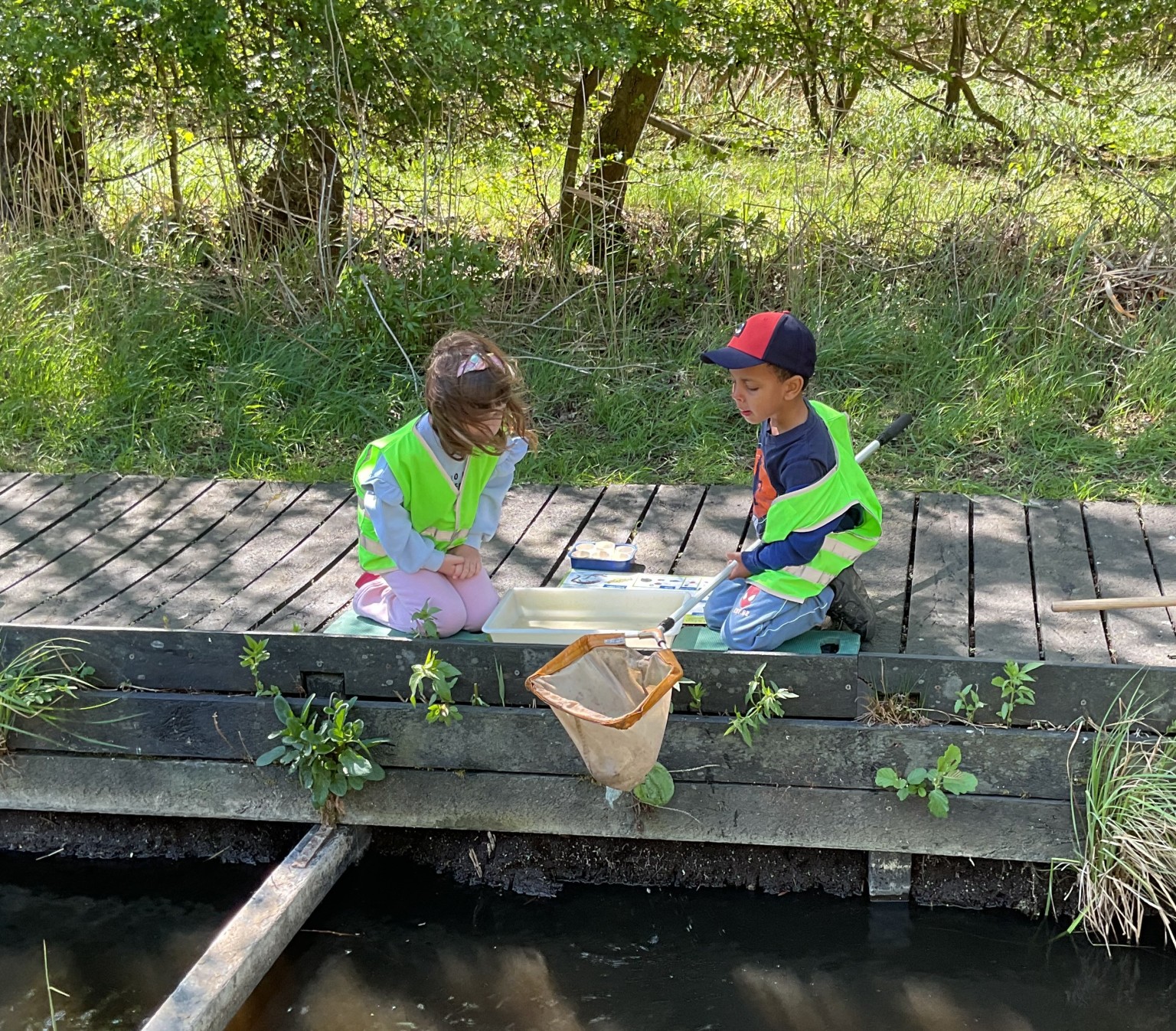 Wicken Fen EYFS