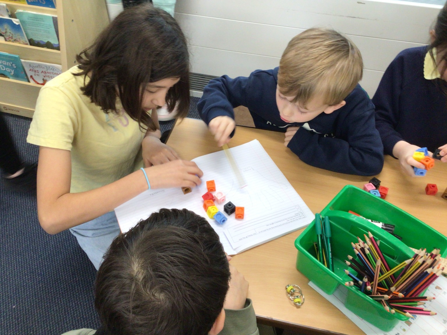 Year 1 Science Investigation 