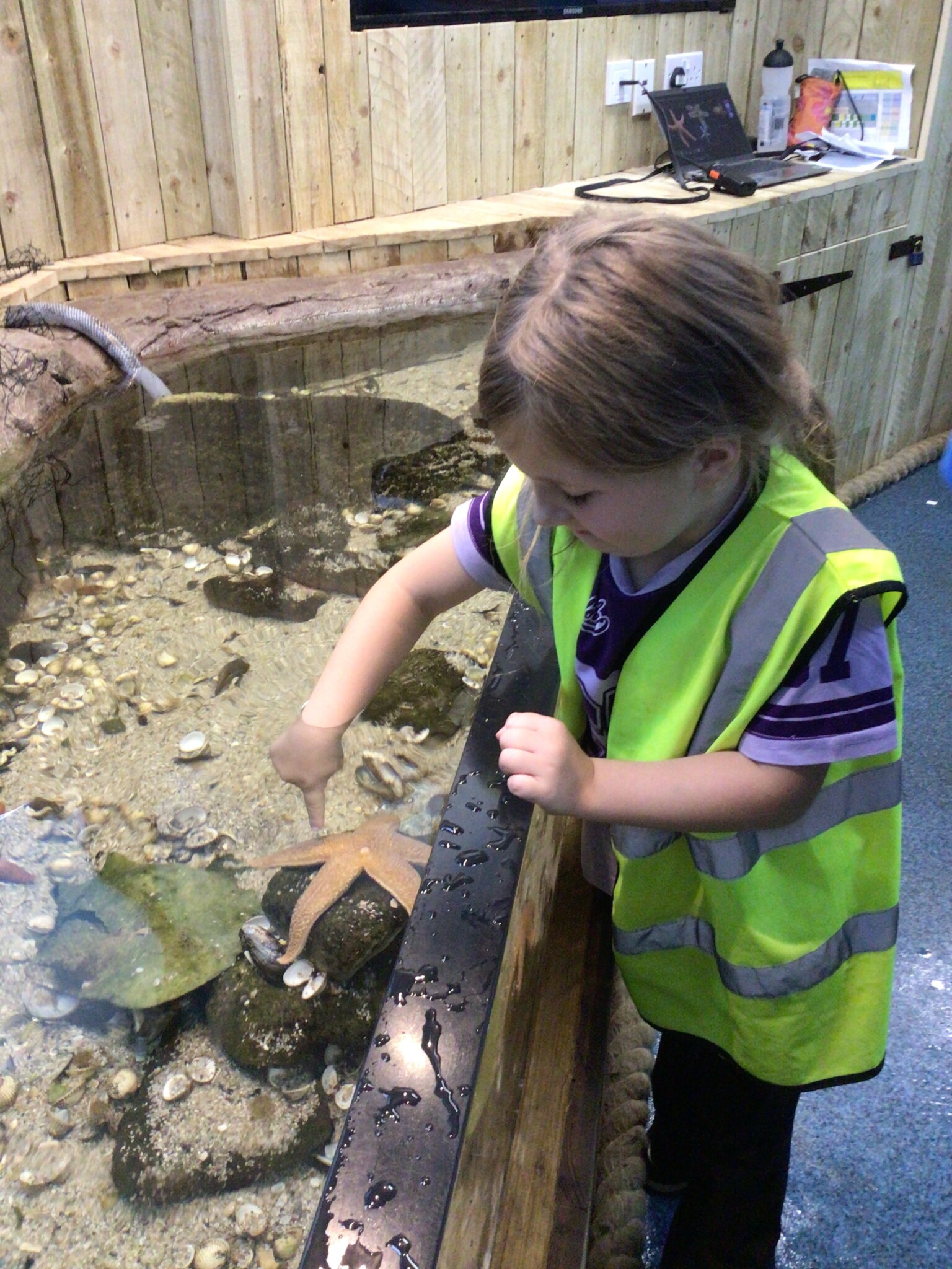 Y2 Hunstanton Visit 